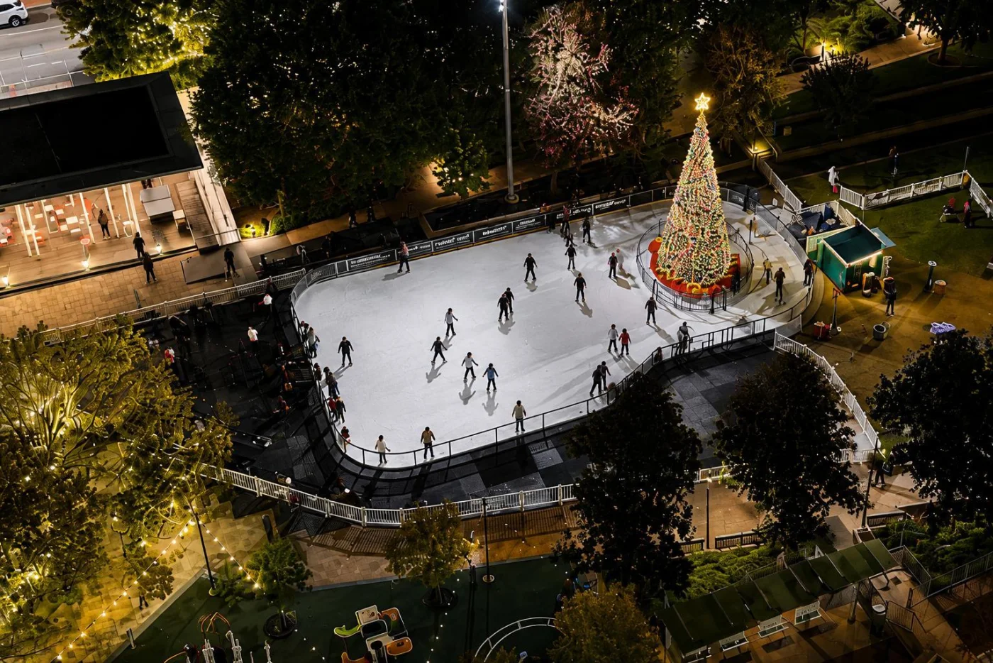 Aerial nighttime view of City Rink and the Christmas tree at Main Street Garden