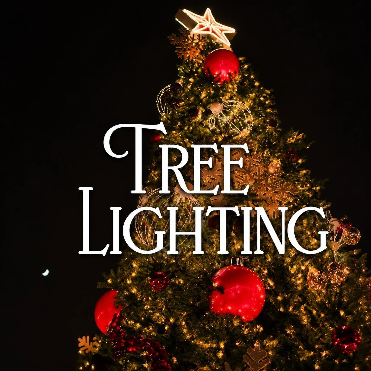 Tree Lighting Ceremony